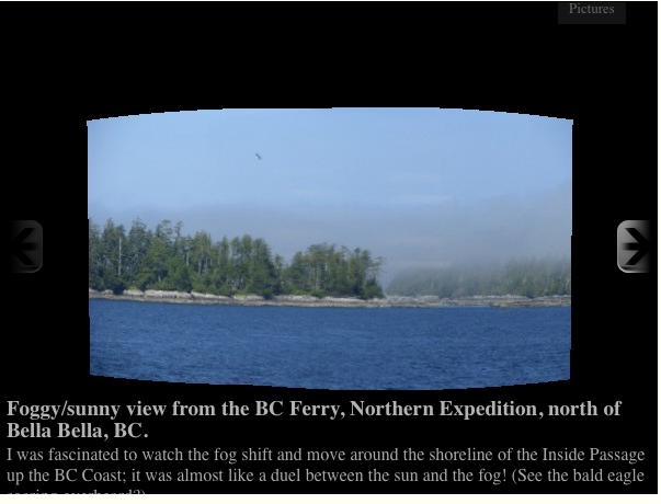 Screen shot 2010-09-01 at 4.42.14 PM Screenshot of photo, showing that caption is too long